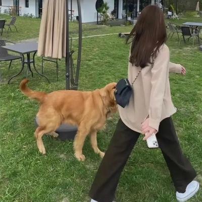 风花