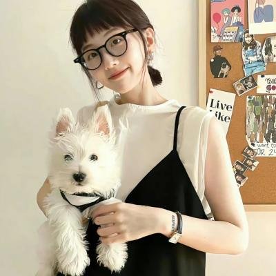 周游记第二季